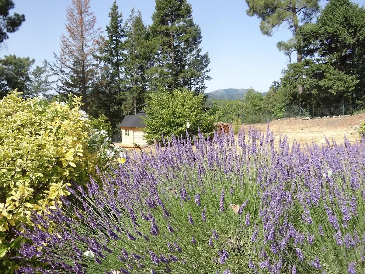 Brin D Ardeche Bed and Breakfast Lentilleres Frankrijk